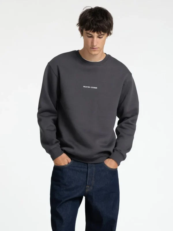 SELECTED BRODYRPRYDD SWEATSHIRT Grey Cheap