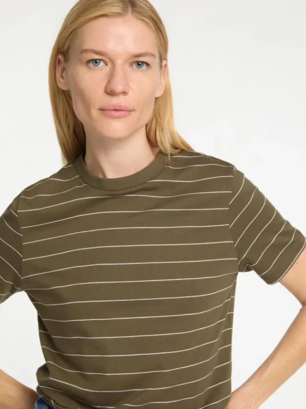 SELECTED RANDIG BOMULL T-SHIRT Green Store