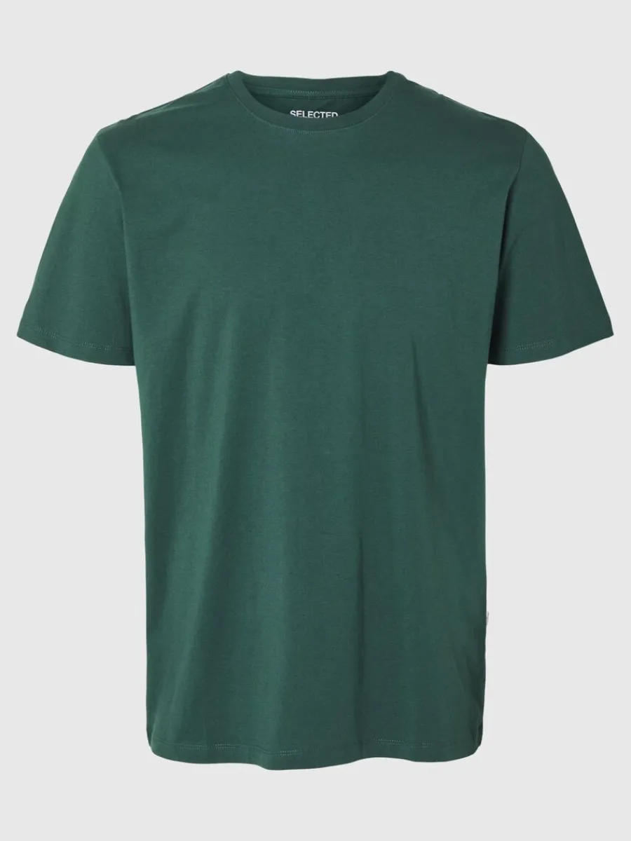 regular_tshirt_5-8.webp SELECTED REGULAR T-SHIRT Green Best