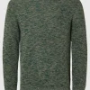 SELECTED RUNDRINGAD STICKAD TRÖJA Green Outlet
